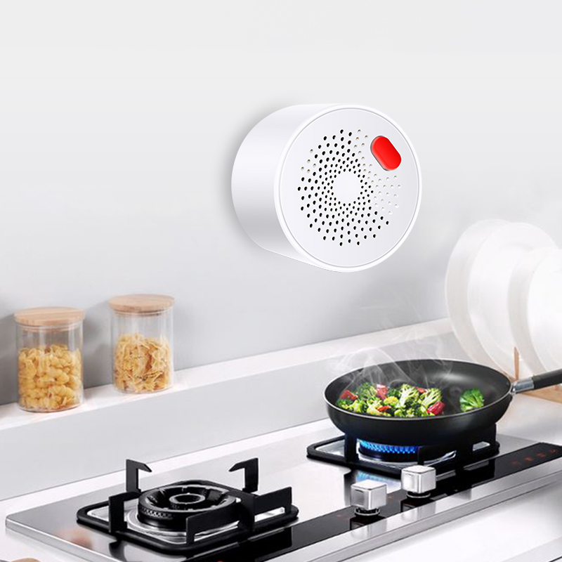 Датчик природного газа Tuya Sm – обзор и цена Smart Home Network