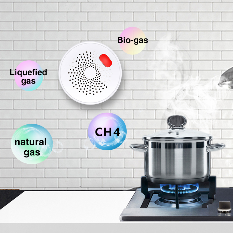 Датчик природного газа Tuya Sm – обзор и цена Smart Home Network